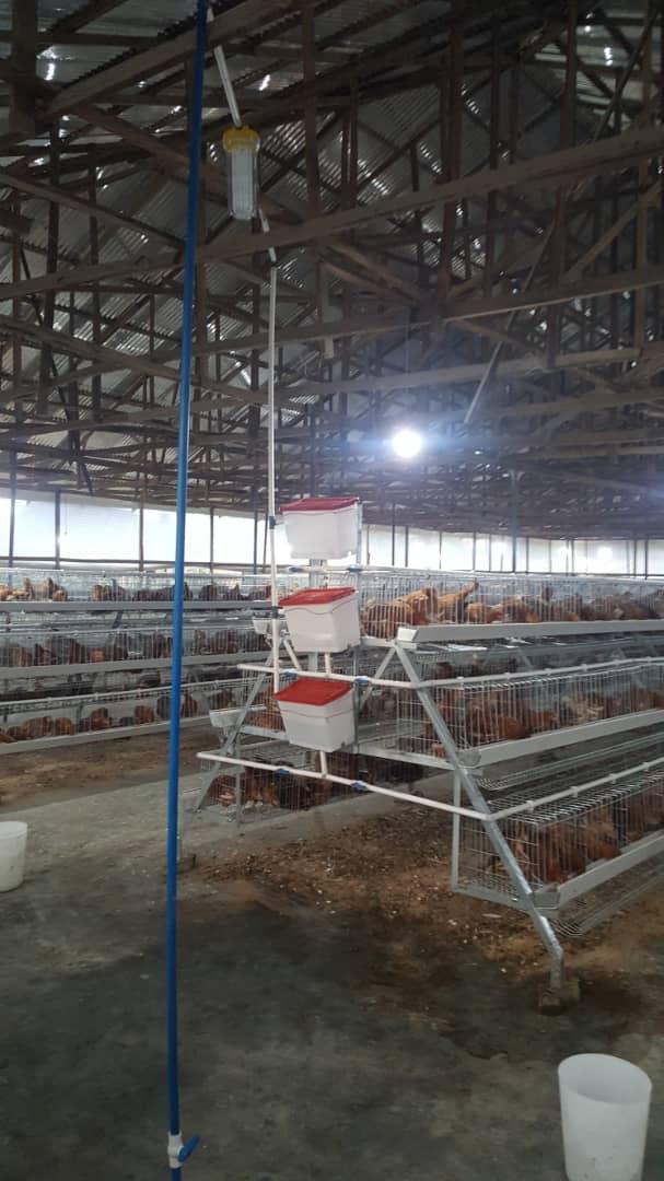 TAGAD poultry farm